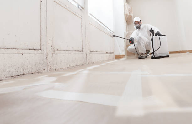 24/7 Emergency Mold Remediation experts in Peoria, AZ